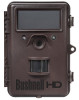 game camera bushnell